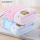金號（KING SHORE）純棉兒童毛巾洗臉巾無(wú)捻紗提繡花方巾柔軟吸水正方形全棉口水巾 小熊頭紅色+蘭色