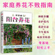 零基礎陽臺養(yǎng)花 家庭園藝實用寶典 新手四季養(yǎng)花 家居植物實用百科 室內綠植完整手冊