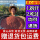 【今年新大紅袍花椒】陜西韓城大紅袍花椒粒特麻特香食用調(diào)料干貨 精品大紅袍量少試吃 100g 韓城純顆?；ń? title=