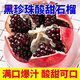 沙外秋香新疆黑籽酸甜石榴 軟籽石榴 黑珍珠石榴現摘應季新鮮孕婦水果 8斤