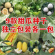 綠寶石甜瓜種子白薄皮香瓜種子四季蔬菜種籽脆甜瓜子早熟羊角蜜瓜 9款香瓜各一包【每包38?！?肥料