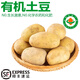 諸氏橙品【有機(jī)】土豆 現(xiàn)挖黃心土豆 馬鈴薯洋芋大土豆當(dāng)季生鮮蔬菜 【有機(jī)土豆】 5斤小家庭享用
