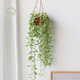 金邊翡翠吊蘭盆栽室內花卉辦公桌面綠植懸掛網(wǎng)紅盆景 金邊翡翠+塑料簡(jiǎn)易盆 長(cháng)度15-20c 含盆