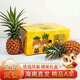 蒔薈果蔬（現摘現發(fā)）海南金鉆鳳梨手撕無(wú)眼鳳梨 新鮮當季水果 香水大菠蘿 9斤（4-6個(gè)左右）