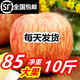 熊小二煙臺紅富士蘋(píng)果棲霞條紋新鮮脆甜5斤3整箱批發(fā)山東冰糖心禮品禮盒 凈重9-10斤中大85果15-18個(gè)