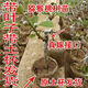 正宗獼猴桃苗原土帶葉帶花庭院種植地栽嫁接紅心軟棗獼猴桃樹果苗 授粉樹 綠心獼猴桃