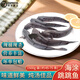 源外園 跳跳魚彈涂魚灘涂魚東海鮮活速凍海鮮水產(chǎn)海魚魚類 3斤裝家庭裝 現(xiàn)捕活速凍-零下鎖鮮真空包裝