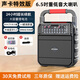 山水（SANSUI）SS20無線藍牙音響手提便攜家用戶外K歌演出廣場舞音箱大功率重低音大音量唱歌聲卡播放器 頂配版【送充電線 遙控器 肩帶】