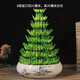 聽雪樓節(jié)節(jié)高富貴竹塔水培室內(nèi)植物盆栽竹子轉(zhuǎn)運(yùn)開運(yùn)竹發(fā)財(cái)富貴竹寶塔竹  8層竹塔+富春山水盆+燈籠