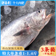 鮮喜利米魚舟山特大米魚冷凍海鮮鮸魚敏魚海捕野生鮮活水產(chǎn)生鮮鰲魚 3條裝 8-10兩/條