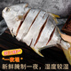 haina海納鹽花金鯧魚(yú)干陽(yáng)江特產(chǎn)一夜埕金昌魚(yú)干淡曬海味干貨腌制咸魚(yú) 350-450g/條X2條