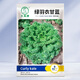 大禹羽衣甘藍種子大全盆栽苗帶土種苗菜苗秋季蔬菜苗食用雨衣甘蘭 綠羽衣甘藍種子100粒