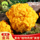 菌益 新鮮金耳1000g 云南特產(chǎn)鮮貨黃金耳腦耳黃木耳糯耳 煲煮食材