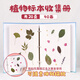曇蓓漫植物標(biāo)本收集冊(cè)兒童學(xué)生DIY樹(shù)葉干花相冊(cè)創(chuàng)意覆膜粘貼式手工相框 【小號(hào)/A5】尺寸：22*9.5*4cm 【封面太陽(yáng)花】20張/40面