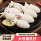 去皮去內臟墨魚(yú)仔手工新鮮速凍海鮮小烏賊墨斗魚(yú)火鍋燒烤食材無(wú)冰 1斤