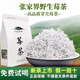 莓茶張家界正宗特級龍須茶土家藤茶永順嫩芽尖霉茶養(yǎng)生茶野生莓茶 芽尖莓茶250克（2袋裝）