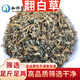 珈祁堂 翻白草中藥材2025新貨無(wú)硫整顆切段帶根新曬干貨泡水可搭絞股藍 翻白草500克【新貨】