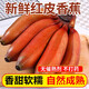 良知農(nóng)哥 新鮮美人蕉 紅皮香蕉 10斤