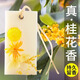 佰蒂高（batigo）衣柜香包蠟片薰衣草除異味固體空氣清新劑房間香氛除臭香片香掛 八月桂花