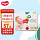 好奇（Huggies）鉑金裝紙尿褲金裝尿不濕男女寶寶通用超薄耐用嬰兒尿褲 金裝NB80片(5kg~以下)