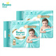 幫寶適（Pampers）紙尿褲敏感肌 男女寶寶新生嬰兒透氣尿不濕尿片一級幫紙尿褲 一級幫紙尿褲NB碼168片