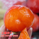綠達 柿子樹(shù)苗脆柿子樹(shù)苗帶土火晶柿子果樹(shù)大樹(shù)苗庭院種植當年結果 8年苗【庭院栽植】 81cm(含)-110cm(含)
