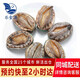 樂(lè )食港鮮活大鮑魚(yú)貝類(lèi)海鮮新鮮鮑魚(yú)活海鮮水產(chǎn) 活鮑魚(yú)1斤（8只）