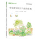 背陰花園設計與植物搭配