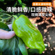 密農(nóng)人家 生態(tài)種植 尖椒 新鮮蔬菜 農(nóng)家青尖椒 300g 北京蔬菜