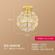 博界燈飾（Bojiedengshi）新款創(chuàng)意花瓣吸頂燈走廊燈入戶門廳燈飄窗衣帽間現(xiàn)代玄關(guān)過道燈 斑點燈罩/送12瓦三色燈泡 明裝  無需開孔