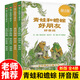 【現(xiàn)貨包郵】青蛙和蟾蜍注音版快樂時(shí)光一年級(jí)全4冊(cè)系列青蛙與蟾蜍是好朋友小學(xué)生二年級(jí)課外書美洛貝爾繪本明天出版社