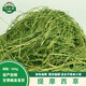 歸鄉提（GUIXIANGTI）特優(yōu)提摩西草荷蘭豬飼料龍貓兔糧提摩干草兔子草豚鼠牧草自產(chǎn)自銷(xiāo) 普通提摩西草/500g