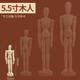 柏倫斯漫畫(huà)小木人模型木頭人素描繪畫(huà)木偶人關(guān)節(jié)人偶模型木手人體模型美術(shù)用室內(nèi)擺件 5.5英寸【14cm】木人