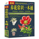 養(yǎng)花常識一本通（美繪圖解版）以圖解方法掌握家庭養(yǎng)花百科 養(yǎng)花書 花卉大全 養(yǎng)花書籍種花大全 植物圖鑒 養(yǎng)花常識一本通（美繪圖解版）