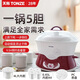 天際（TONZE）一鍋多膽隔水燉鍋電燉鍋電燉盅家用全自動(dòng)大容量煮粥神器煲湯1-4人2.5升L定時(shí)預約燉湯文火多功能 4升（約10碗）共5膽 4L 不含陶瓷蒸格