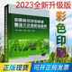 2023新版中國植保病蟲草害圖譜大全暨防治寶典 張建平主編 農(nóng)作物 蔬菜果樹病蟲害防治技術(shù) 農(nóng)業(yè)經(jīng)濟(jì)作物病蟲害診治圖譜