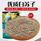 花卷寶寶蘇子鳥食新白蘇子鳥糧鸚鵡玉鳥黃雀薄皮軟蘇子500克 1斤