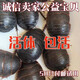大母蟲(chóng)活體土元地鱉蟲(chóng)種蟲(chóng)產(chǎn)卵母土鱉蟲(chóng)用禮品500g包郵 土元生態(tài)活蟲(chóng)*500g