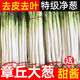 農(nóng)大姐妹章丘大蔥 山東特產(chǎn)正宗章丘大蔥大梧桐 溫室大蔥非山東鐵桿蔥 章丘大蔥9斤