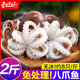東上御品三去八爪魚 去牙去內(nèi)臟 鮮活冷凍小八爪魚 國產(chǎn)章魚 軟足類 海鮮 短腿小八爪【約16只】 2斤(凈重)