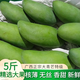 萊財(cái)多大青芒新鮮特大芒果水果生鮮整箱金煌應(yīng)季當(dāng)季青芒果鮮果 精選9斤特大果