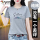 啄木鳥好棉t恤女短袖夏季2025新款夏裝時(shí)尚洋氣短款休閑上衣 灰色 XL _【建議110-125斤】