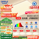 歐普（OPPLE）全光譜護(hù)眼吸頂燈客廳燈智能LED照明燈具簡(jiǎn)約包安裝套餐1 凝月4