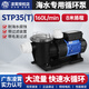 凌霄廣東凌霄水泵離心泵LX海水泵stp型泳池循環(huán)過(guò)濾泵stp50-200魚(yú)池泵 廣東凌霄stp35【0.25kw】 帶過(guò)濾