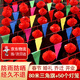 琉弦笙 春節過(guò)年裝飾 不打烊三角彩旗串旗喜字旗戶(hù)外院子彩條場(chǎng)景布置 彩色旗80米+50個(gè)燈籠