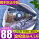 漁人百味 金槍魚頭1.2-3.5kg新鮮金槍魚肉金槍魚眼低溫冷凍燒烤燉湯日本料理熟吃健康輕食 金槍魚頭1.5-2.5kg