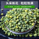 【頭采新貨】菊花米胎菊花茶新花干胎菊王桐鄉(xiāng)正宗杭白菊胎菊米 特級(jí)頭采胎菊米500克 草綠色 特級(jí)胎菊米500克【特惠裝】