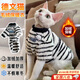 曇蓓漫德文貓衣服貓咪衣服無(wú)毛貓衣服德文衣服保暖阿比西尼亞貓衣服加厚 貓咪衣服冬季（黑白條紋） S碼（建議4-6斤）