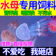 水母飼料快速增肥海月赤月水母糧寵物耐活專用食物免孵化豐年蝦卵 50g送喂食器+喂食瓶【1瓶】