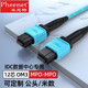 菲尼特 Pheenet 光纖跳線MPO-MPO電信級(jí)40G預(yù)端接跳線100G光模塊用集束光纖線OM3 12芯（OM3）MPO/MPO 進(jìn)口低損 3米